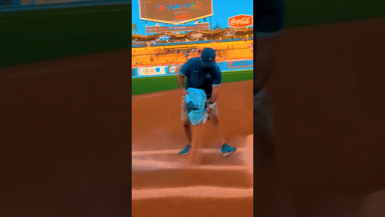 Dodgers ITFDB Highlights ⚾