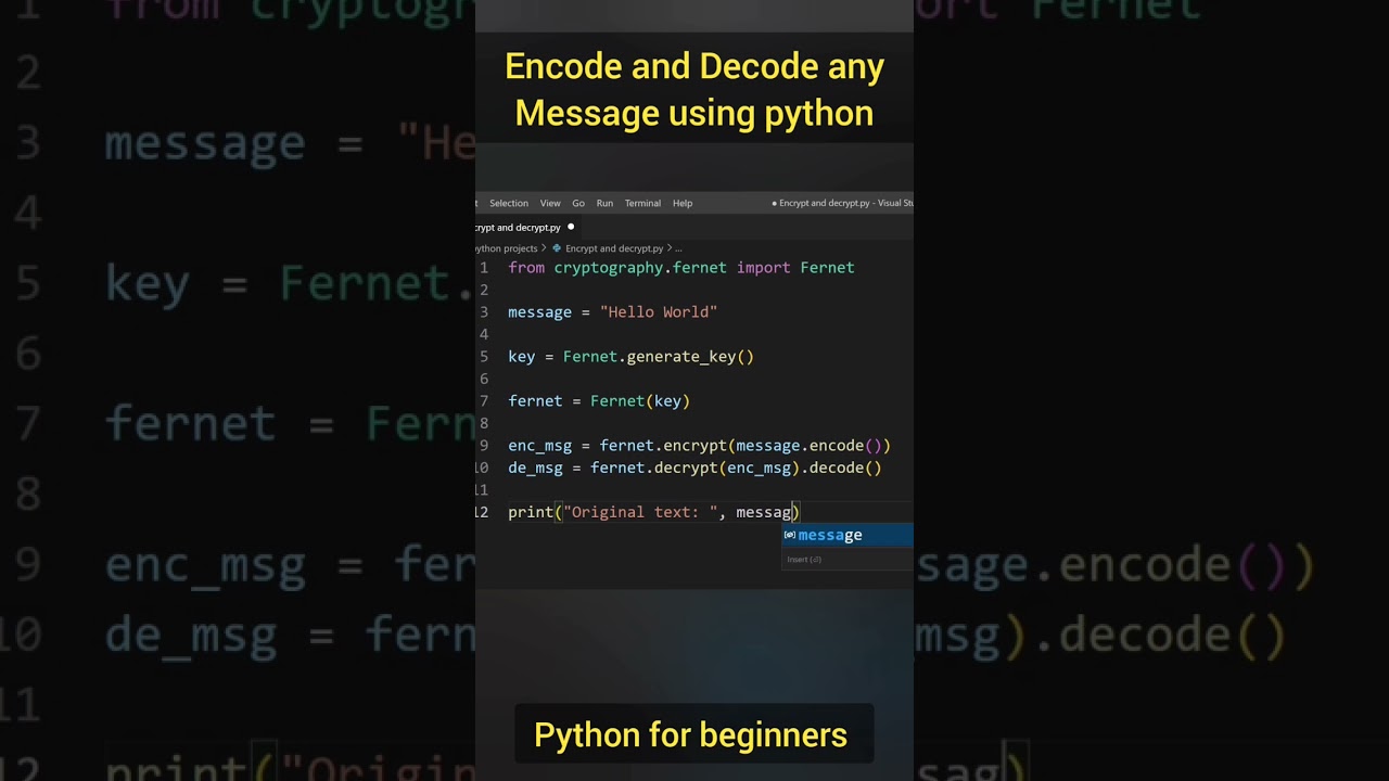 Quick Guide: Encrypt & Decrypt Messages in Just 8 Lines of Python 🔐