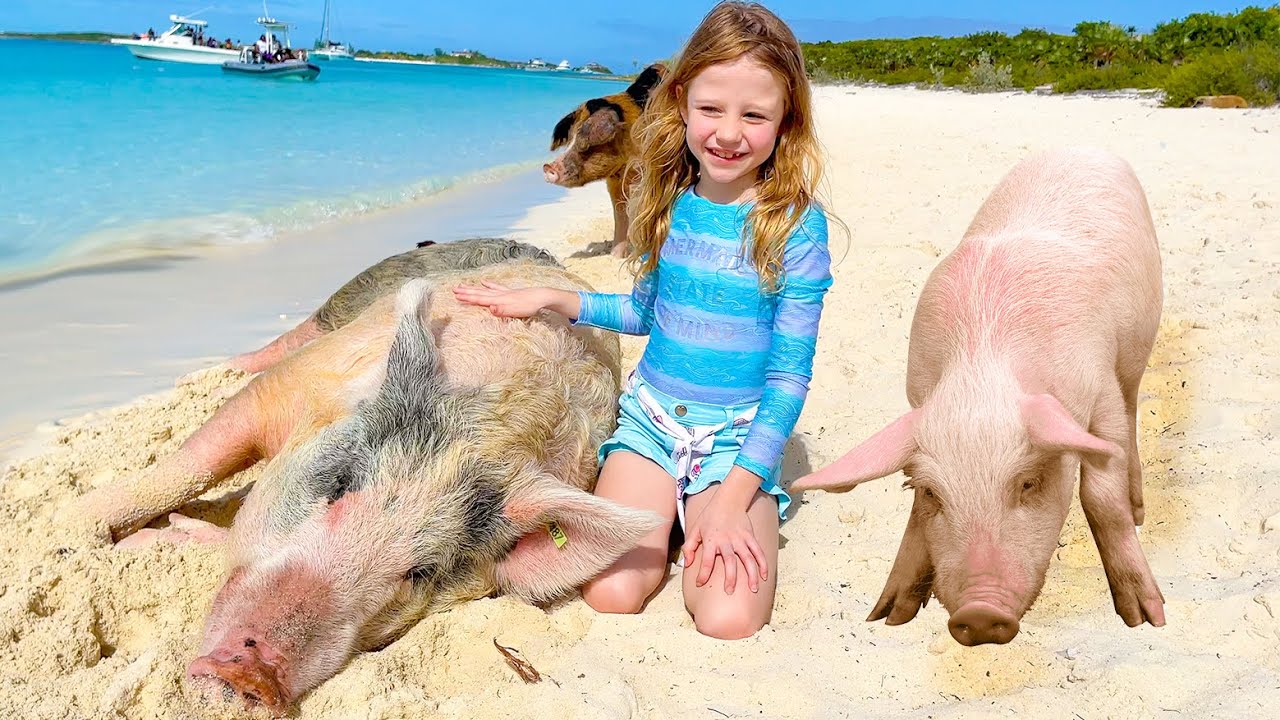 Nastya's Family Adventure on Pig Island 🐖