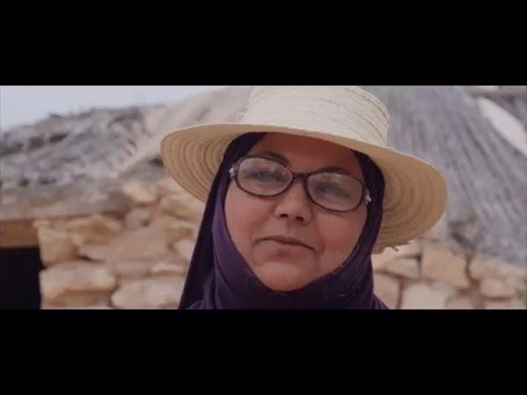 New balti "fel barima" 2016