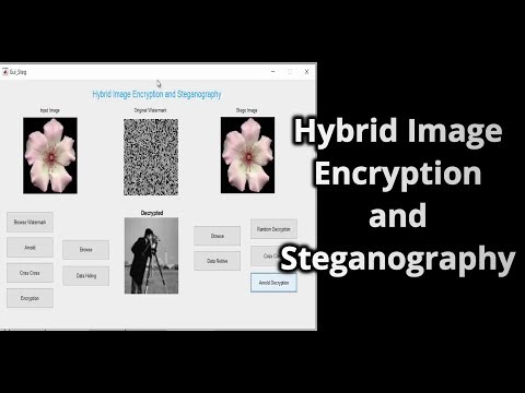 Hybrid image Encryption and Steganography
