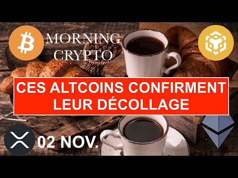 🚨02 NOV. 2025☀️☕️🥐 Les ALTCOINS n'ont pas dit leur dernier mot : Ces jetons explosent en série 🚀