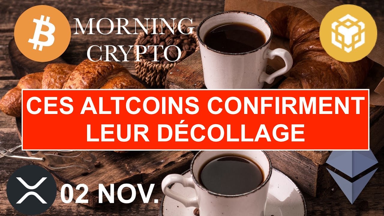 Novembre 2025 : Les Altcoins en Plein Boom 🚀 – Découvrez les Jetons qui Explosent