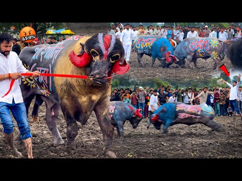 Pado Ki khatarnak Fight🦬⚔️Ujjain-अरे..भाग गया🏃🤬