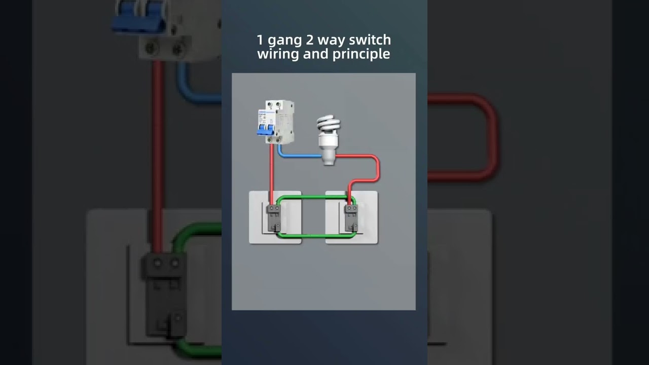 Wiring and Principles of a 1-Gang 2-Way Electrician Switch