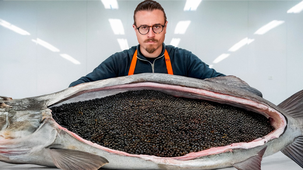 Discover How Caviar Is Made: From Farm to Table 🥚