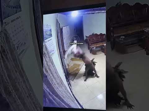 konten hiburan #ai #viral#viralvideo#viralshort#trending#trendingshorts#trendingvideo#fyp#fypシ#trend