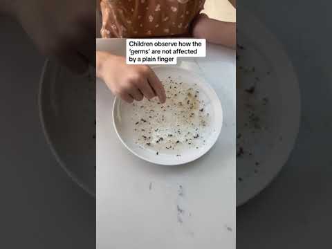 'Germs' Experiment for kids #experiments