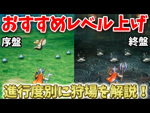 【ドラクエ1リメイク】おすすめのレベル方法まとめ！序盤・中盤・終盤の進行度別に解説！【ドラクエ1&2リメイク】