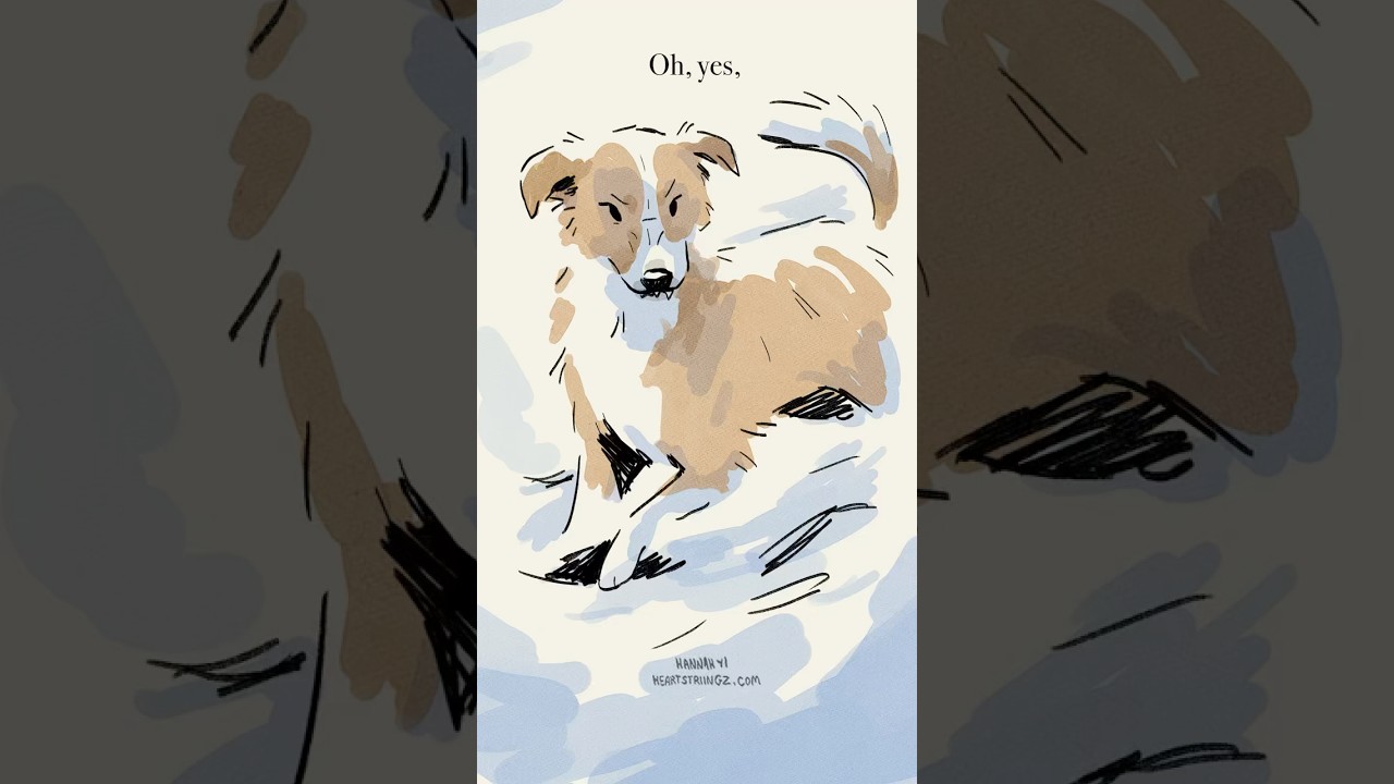 Buck and Spitz Clash in 'Call of the Wild' (1903)