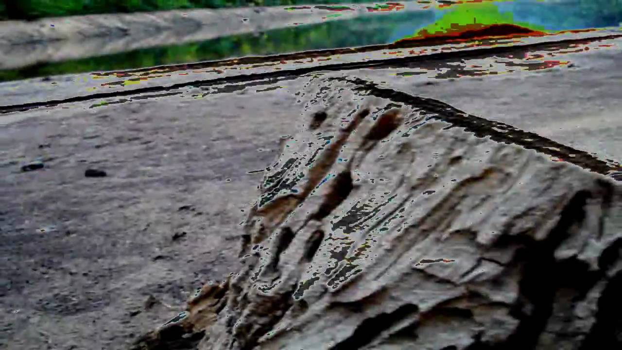 Anouar Brahem Trio at Astrakan Café 🎶