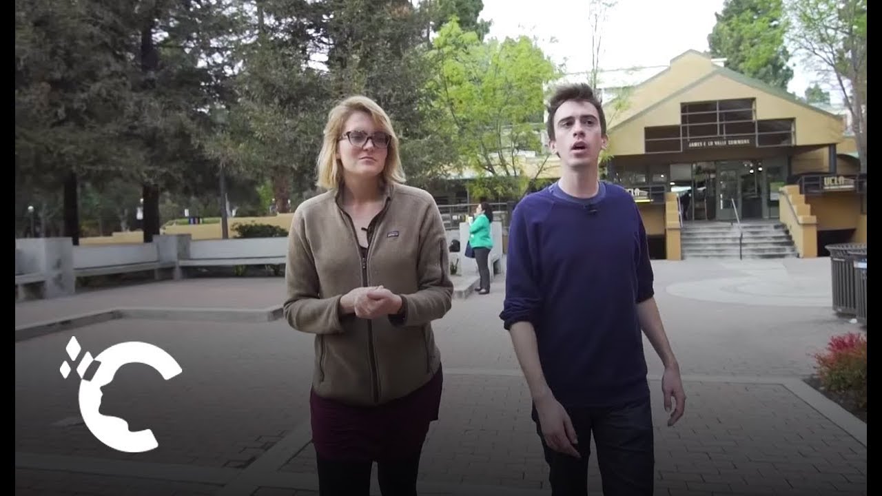 UCLA Law School: Academic Insights