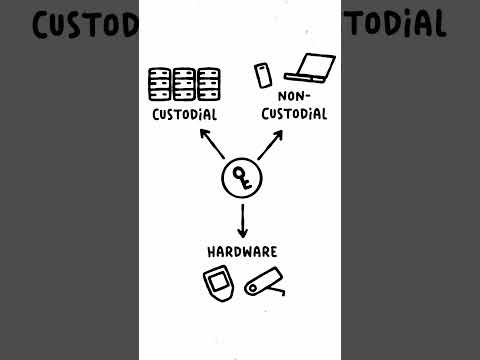 Week 3. Lesson 1. What are Wallets and Their Types