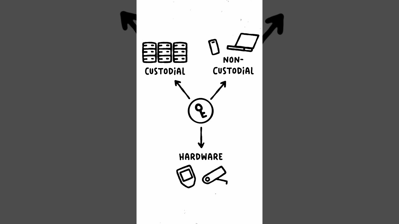 Understanding Cryptocurrency Wallets: Types and Differences 🔐