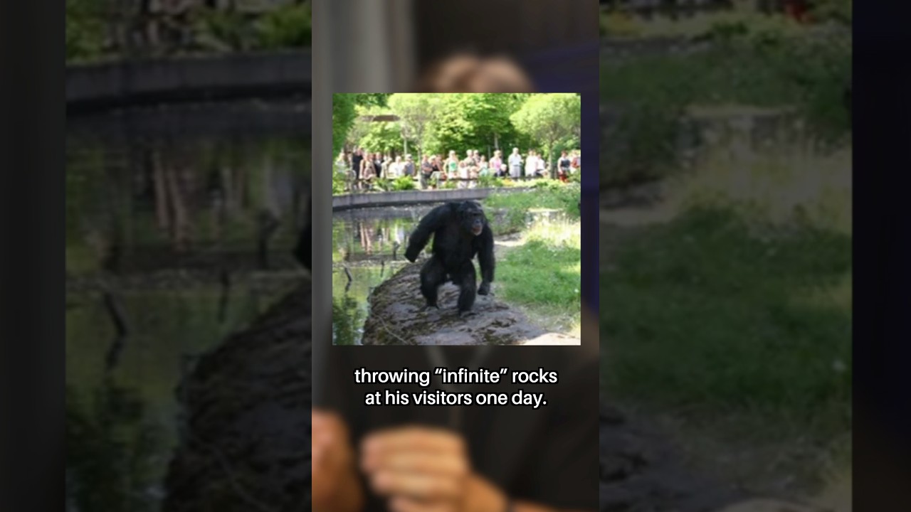 Man Makes History Throwing Rocks at People 🪨