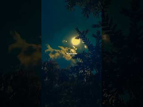 Dandelions - ruth b | lyrics | aesthetic | Whatsapp Status | English songs | slowed | speed up