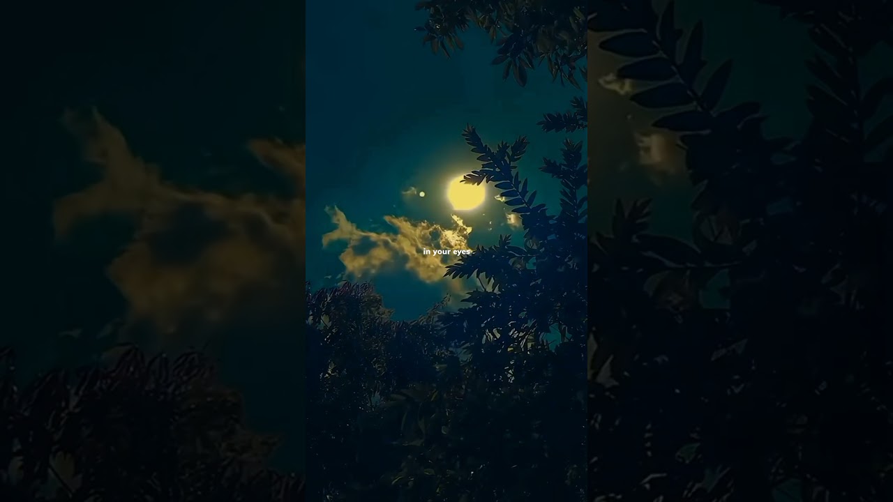 ✨ Ruth B's 'Dandelions' Lyrics & Aesthetic Version | WhatsApp Status & More