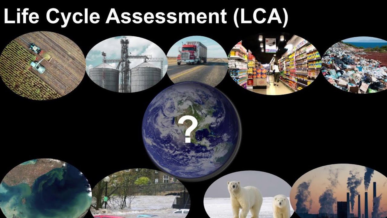 What is a Life Cycle Assessment? 🧪