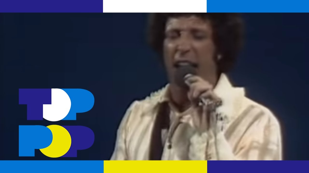 Tom Jones - She's A Lady | TopPop 🎤