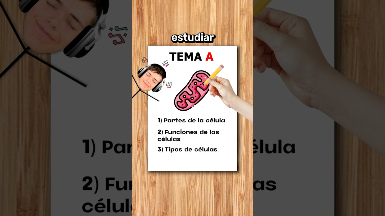 Cómo Apruebar Estudiando con Música 🎶