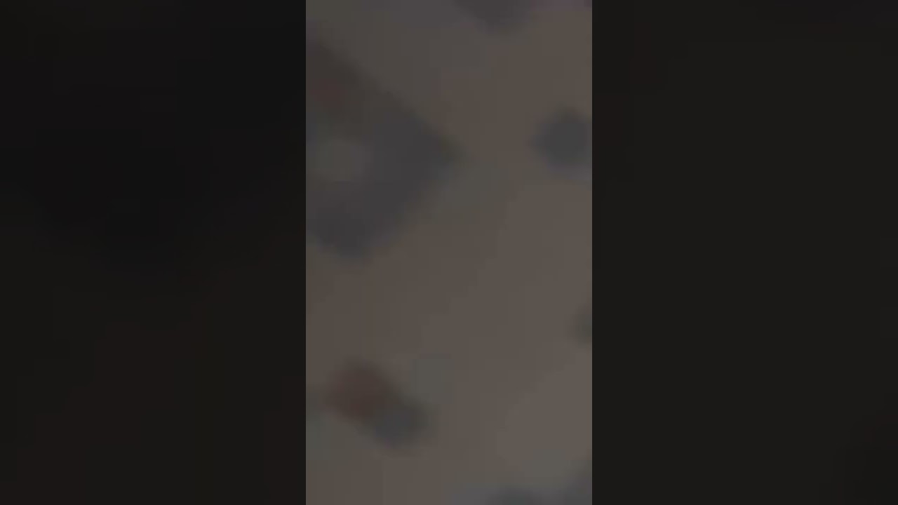 Tiger Hunts Deer in Kabini 🐅