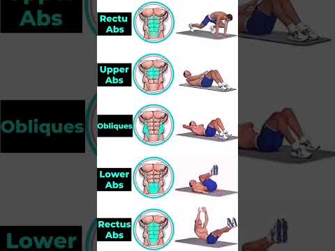 Entraînement abdos sans matériel #abstraining #homeabsworkout #homeworkout #musculation #gomuscu