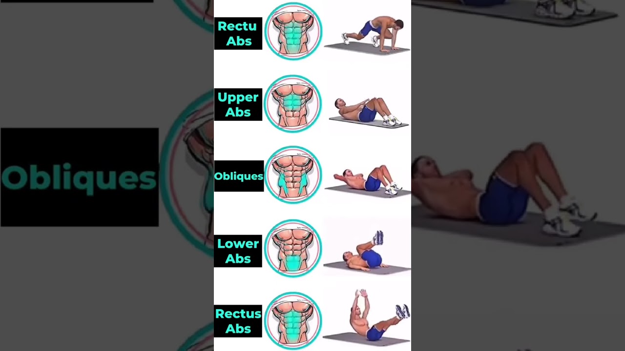 Entraînement Abdos Sans Matériel : Sculptez Votre Ventre à la Maison 💪