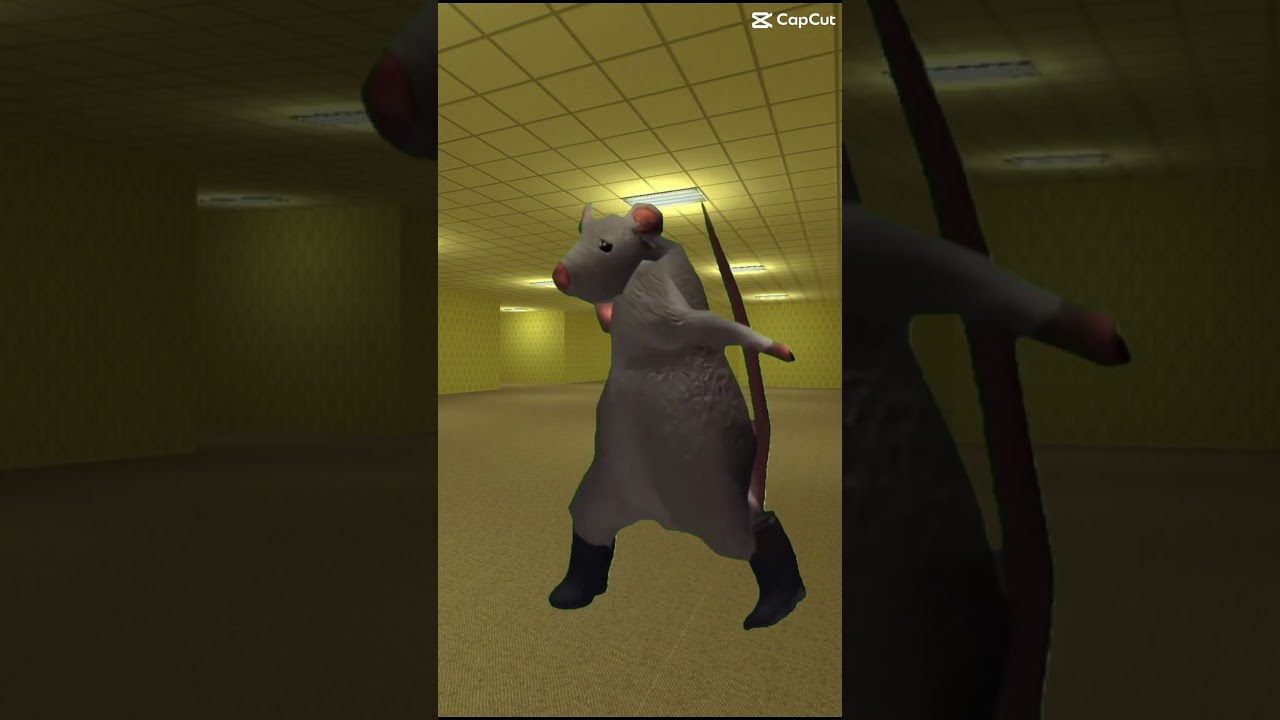 La danse hilarante du rat 🐀