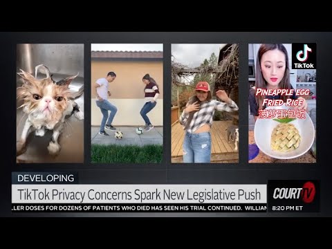 'A major security risk.' TikTok Sparks Concerns Over Privacy | Court TV