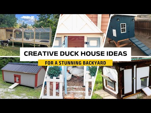 20 Creative Duck House Ideas | Unique Designs for Your Ducks
