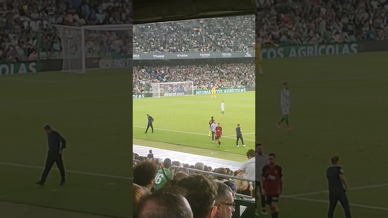 Sergi Darder Celebrated by Jagoba Arrasate After Key Performance ⚽