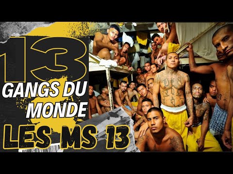 GANGS DU MONDE - LES MS 13 - #Prison #MaraSalvatrucha #Maras #Trafic #Deal #Latino #Cartel #Cocaïne