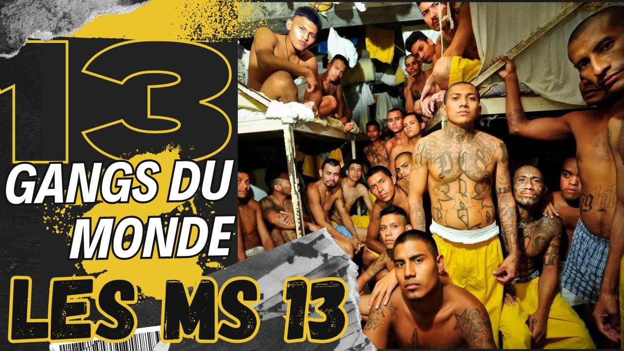 Les MS 13 : Le Pouvoir et la Violence des Gangs Latinos 🚨