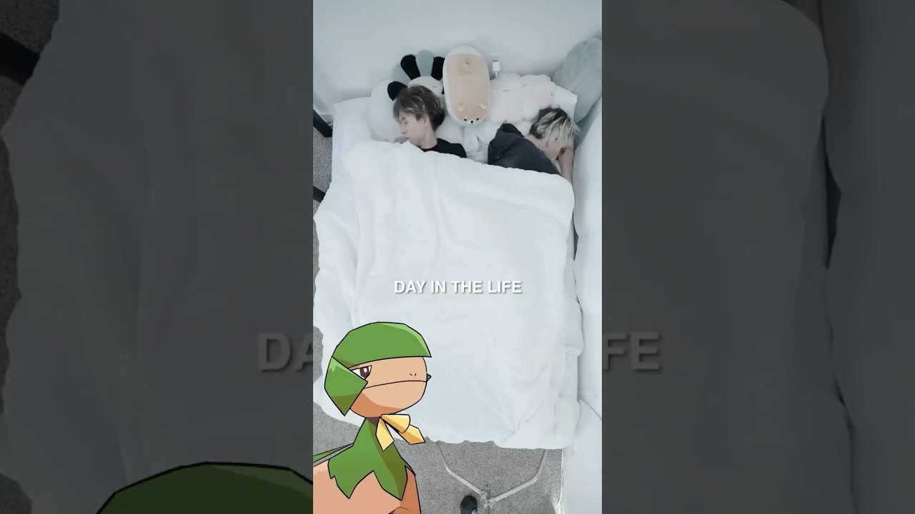 A Day in the Life of a Full-Time Streamer 🎥