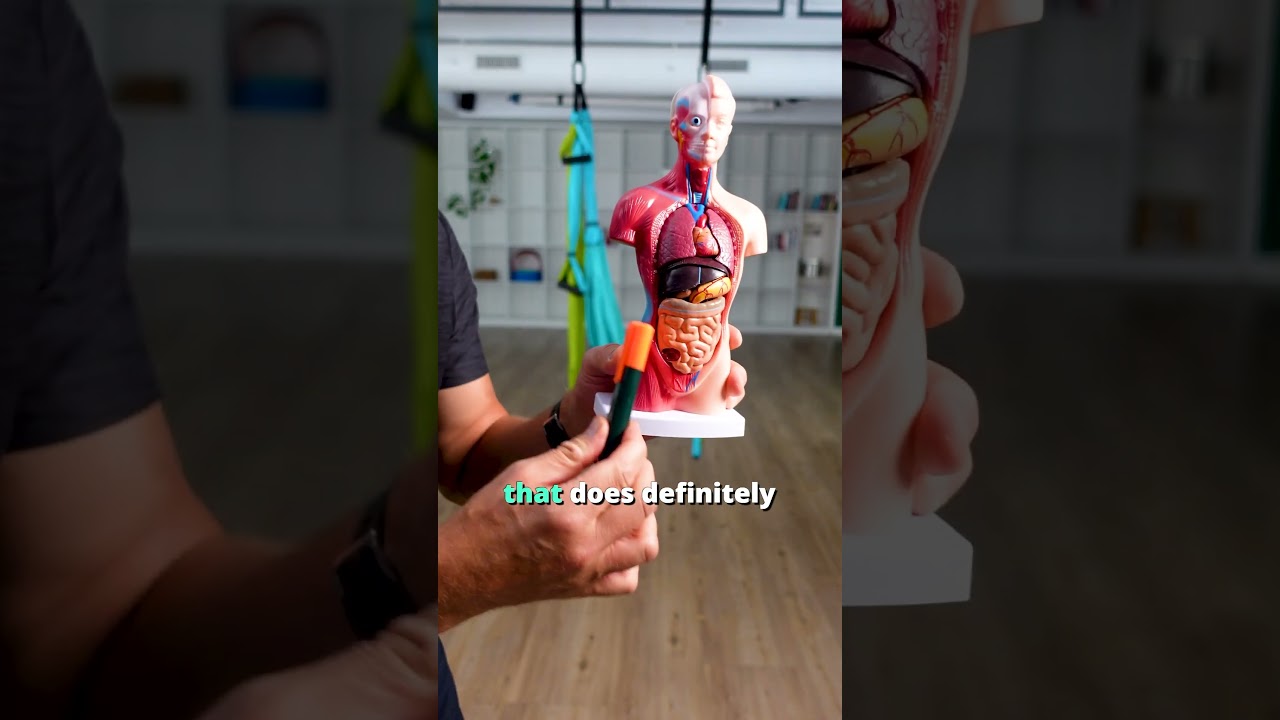 Grip Strength as a Predictor of Longevity 💪