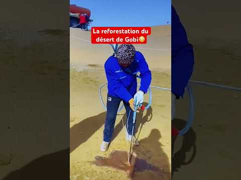 La reforestation du dĂ©sert de Gobiđł #shorts #desert #saviezvous #ecologie #forĂȘt