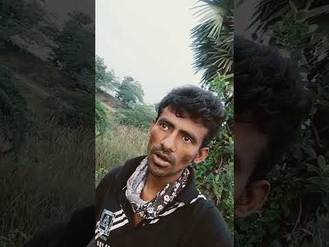 నిన్న రాత్రి నాకు ఎర్ర ఇసుక బోవా అనే పాము కనిపించింది భాగం 3