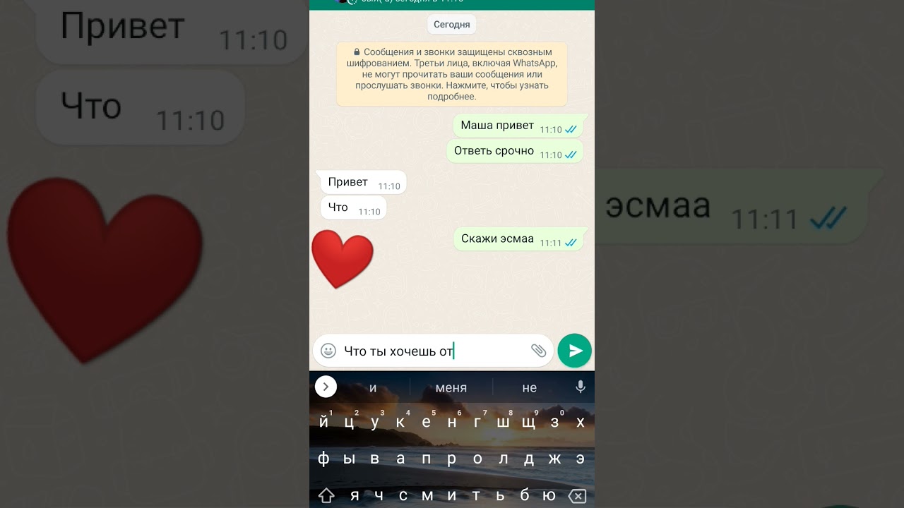 Что ты хочешь от меня, моя госпожа ❤️