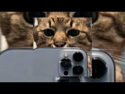 Alisher Konysbaev- BOLEKSIN speed up