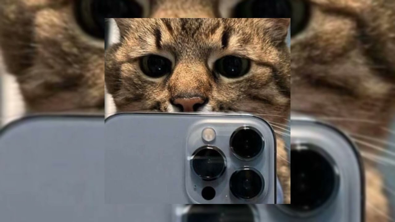 Alisher Konysbaev - Boleksin Speed Up 🚀