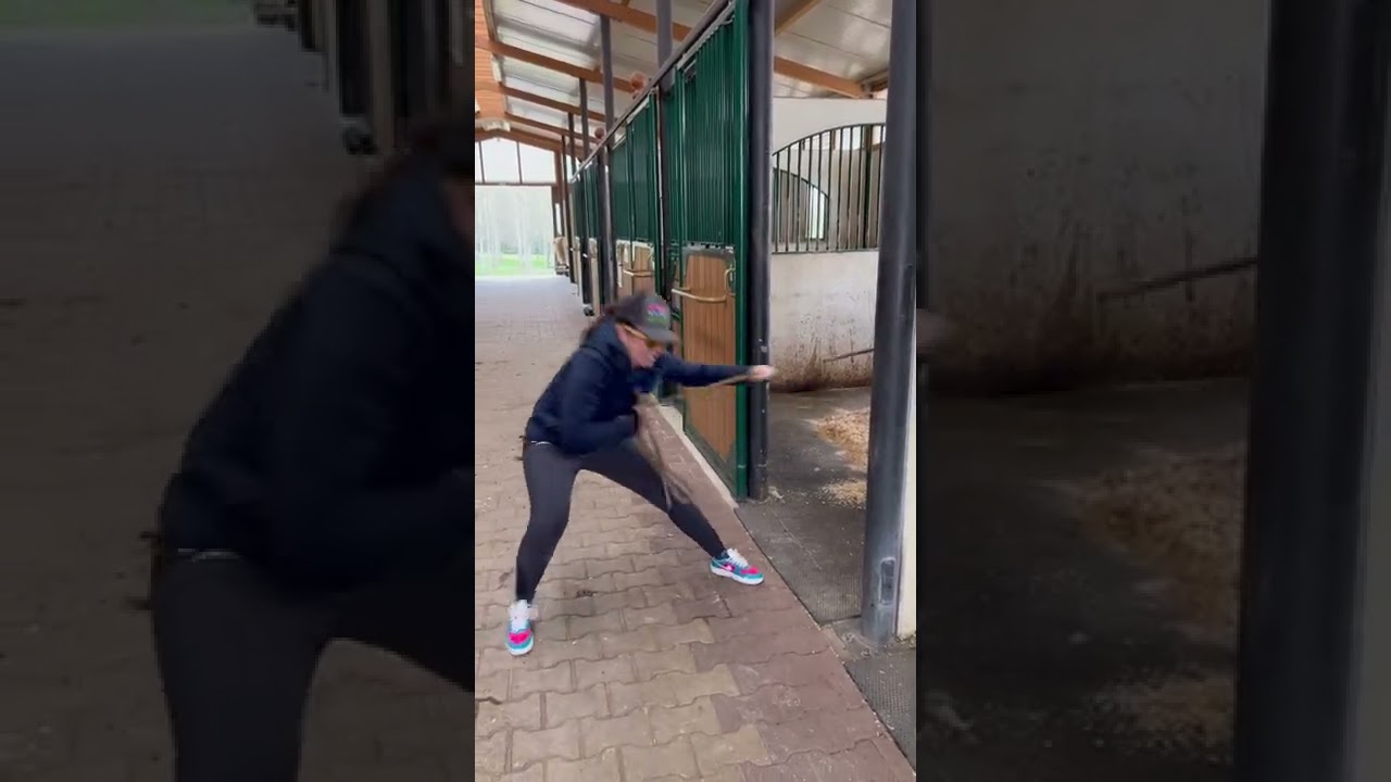 Quand tu veux sortir « T-Rex » du box chez Andy Booth 🤣🤦🏻‍♀️