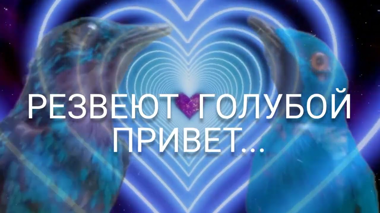 Зов Синевы: А. Петров и Т. Харрисон ремейк