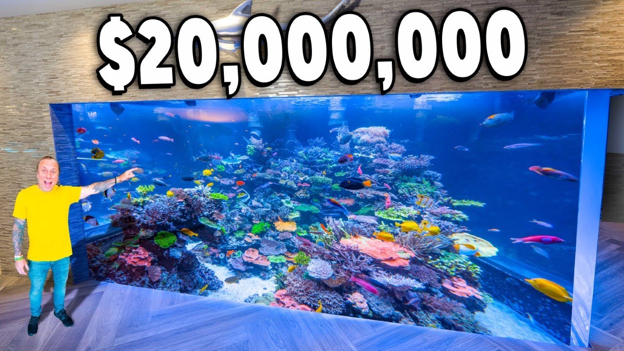 Tour a 17,000-Gallon Saltwater Fish Tank in Long Island