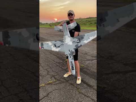 Retracts on E-Flite Viper 90mm