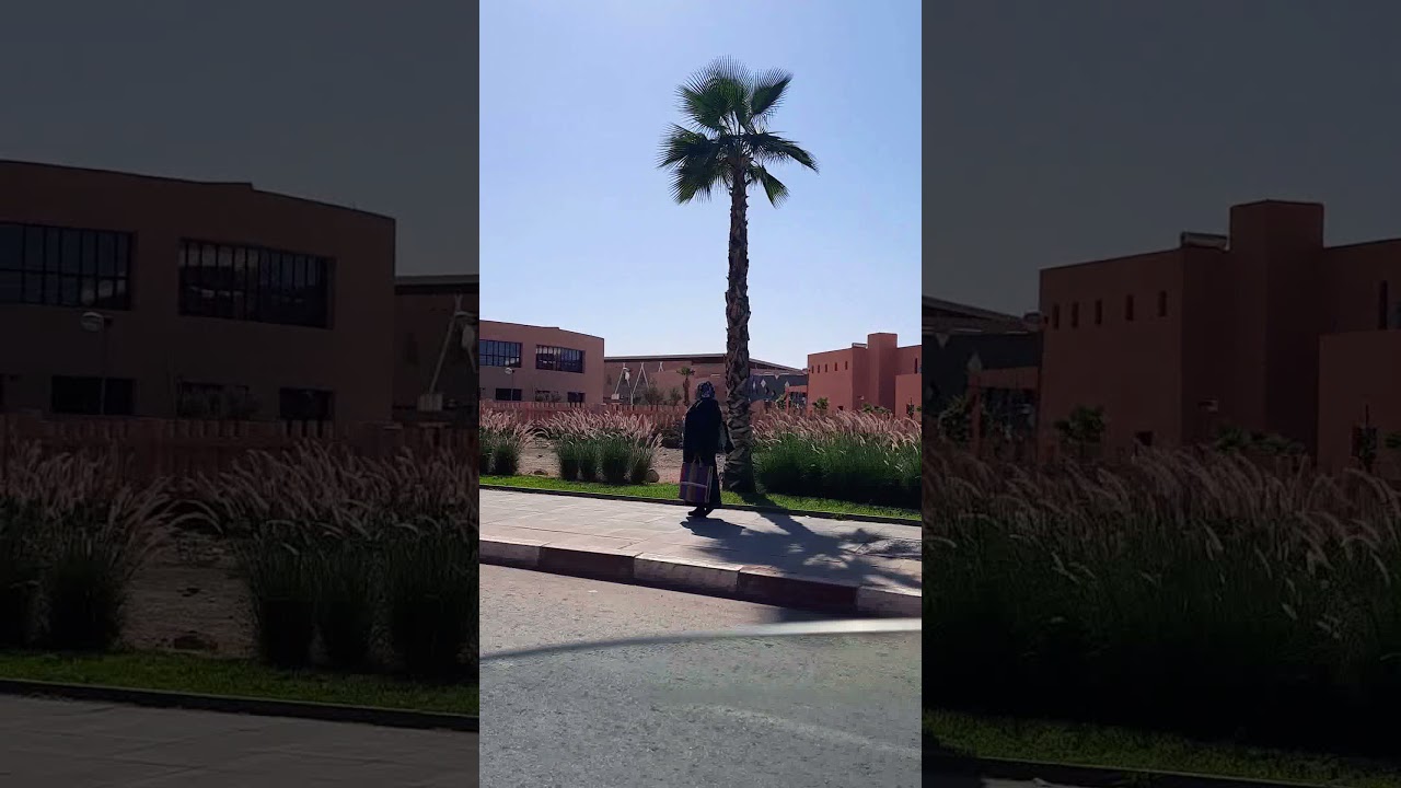 Discover Marrakech and Mhamid 🌵