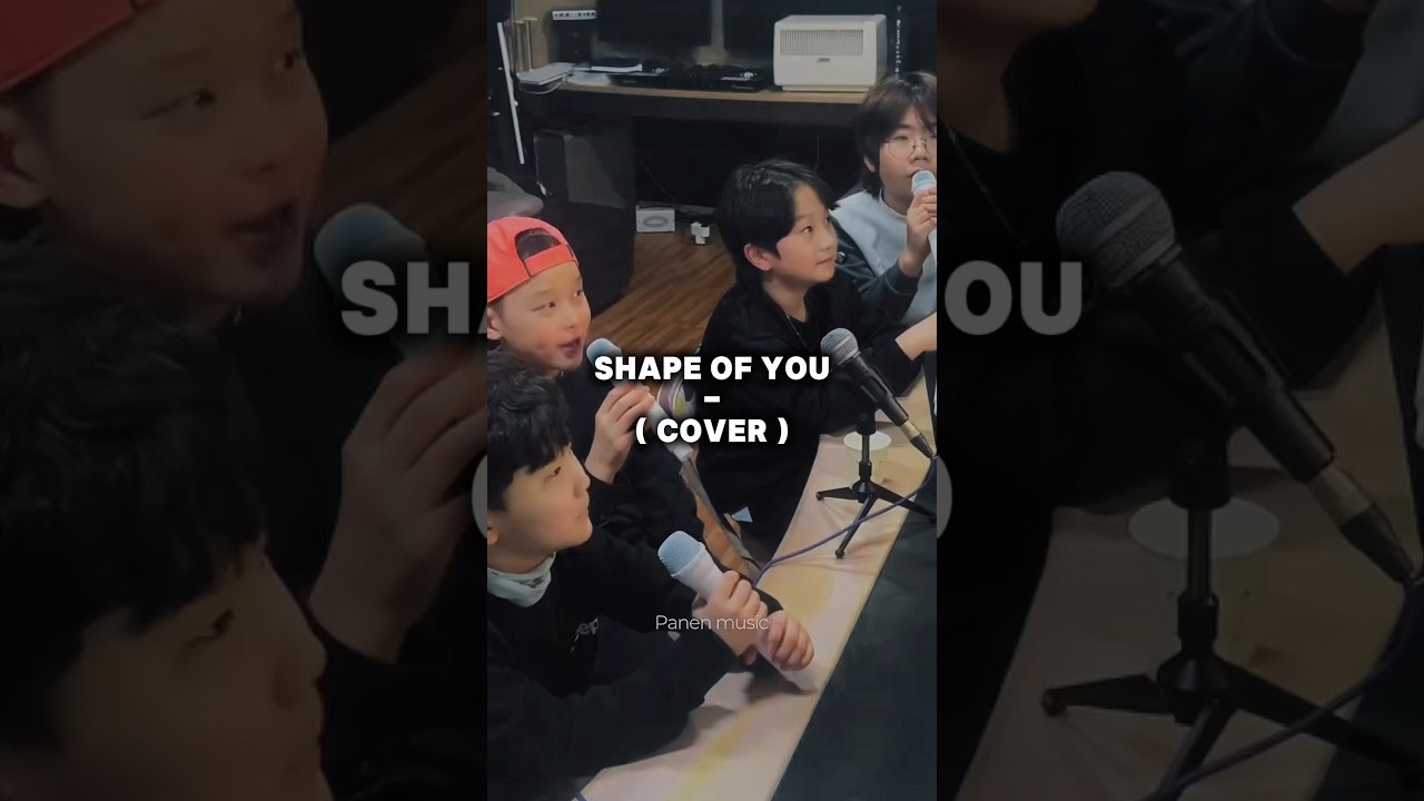 Ed Sheeran - Shape of You Cover 🎤