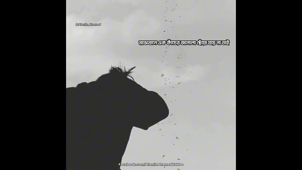 Kacher Janala - Lyrics | Arman Alif | Bangla Song | WhatsApp Video