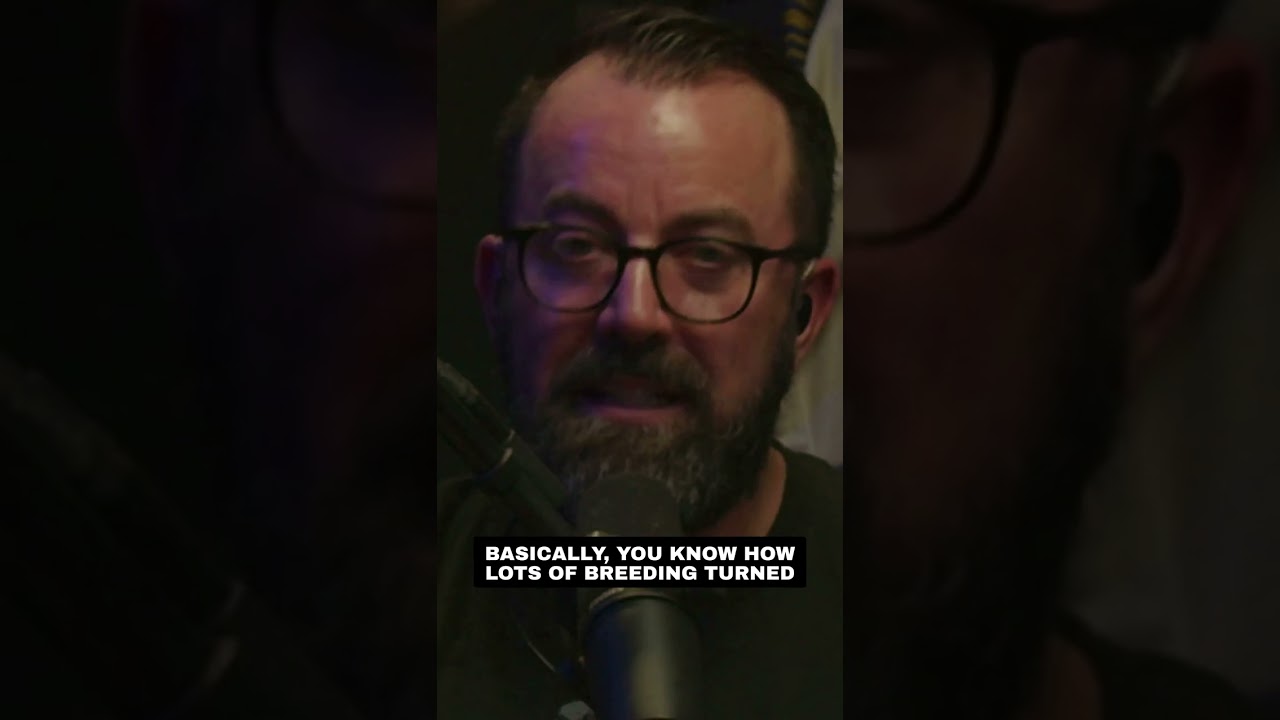 Timesuck | Yakub: The Unexpected Transformation