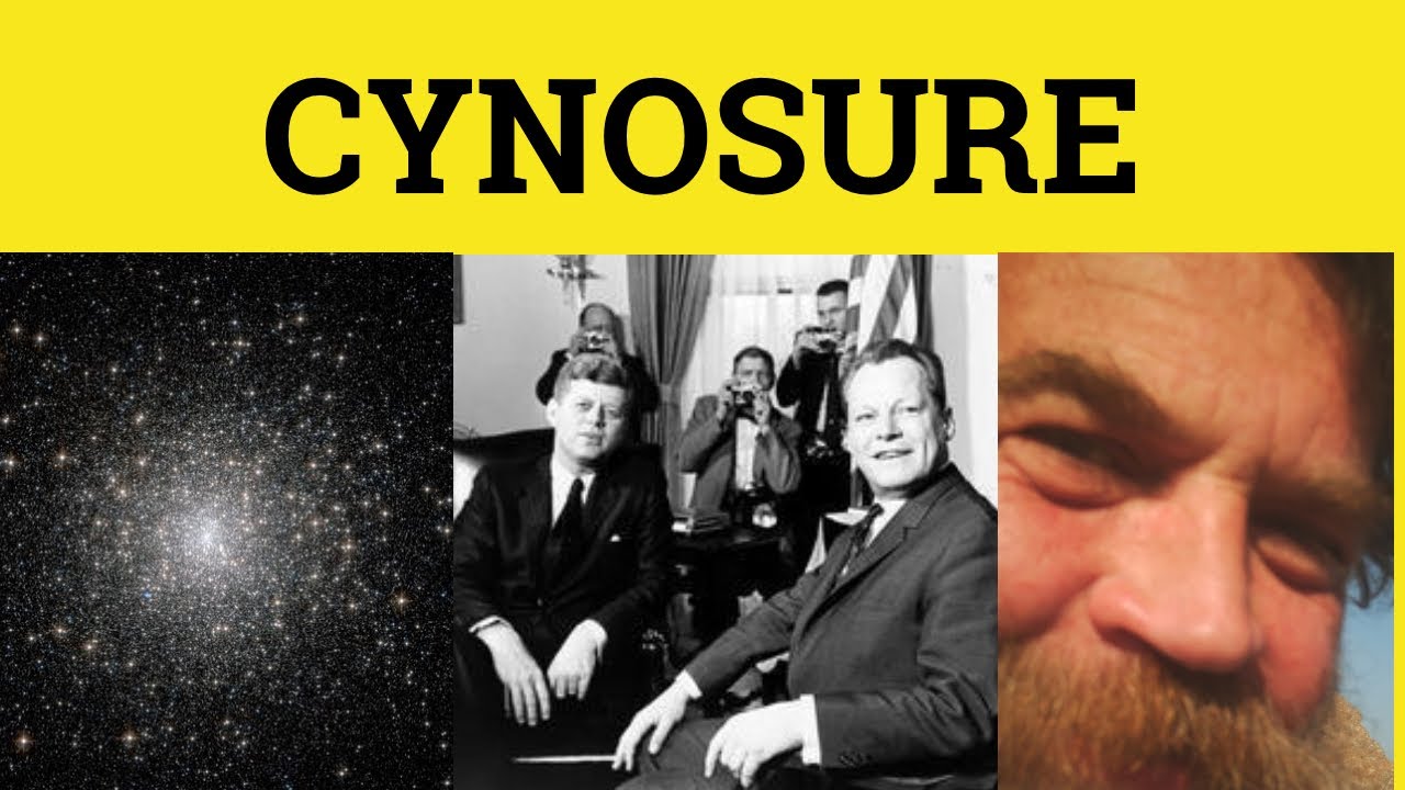 Cynosure Meaning & Examples | Formal English Guide