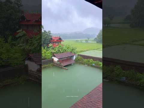 Monsoon makes Kerala more beautiful..!! #kerala #rain #nature #mazhakkalam